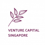List of the 30 largest Venture Capital Funds from Singapore [2025]